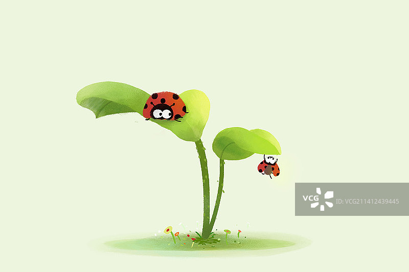 隐形的翅膀图片素材