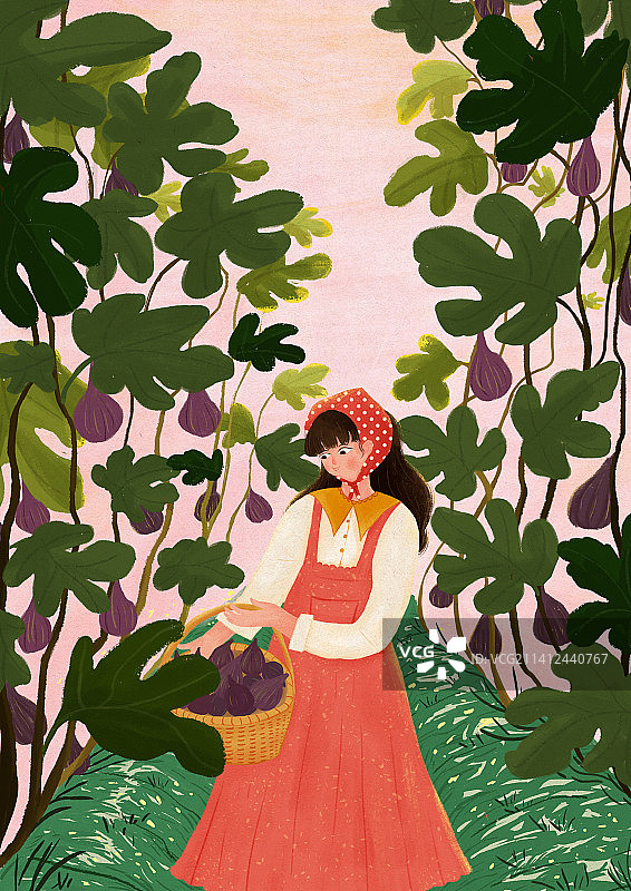 田园采摘图片素材