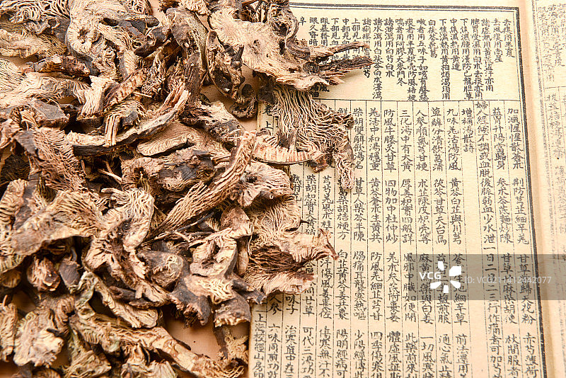 养生中医中药材升麻图片素材