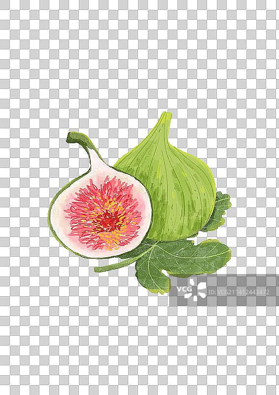 无花果图片素材