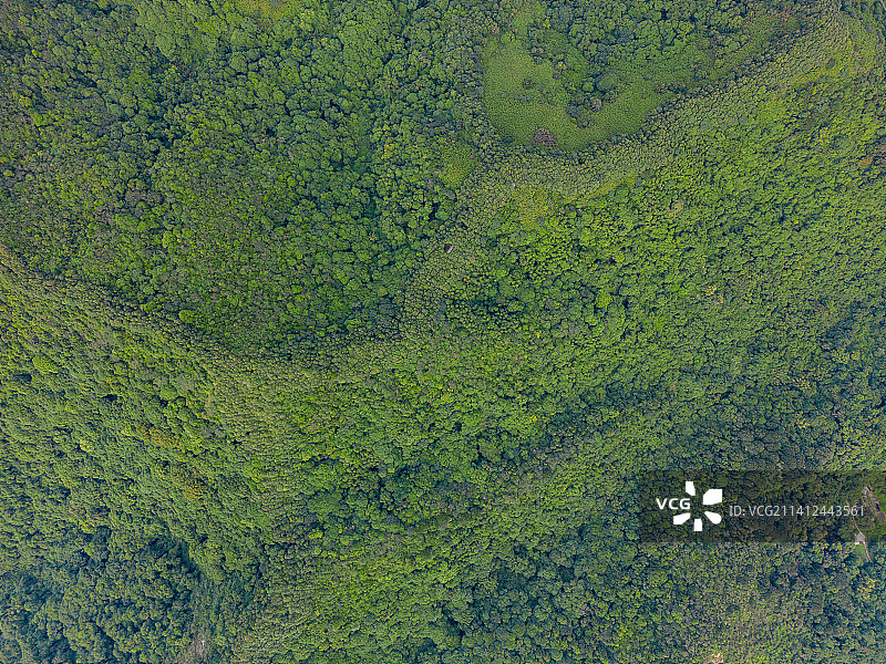 深圳阳台山森林公园图片素材