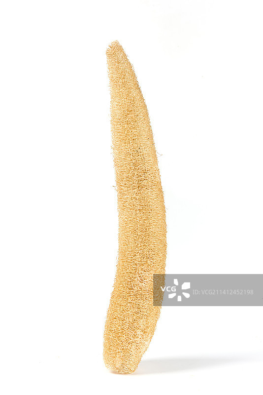 白色背景上的干丝瓜瓤图片素材