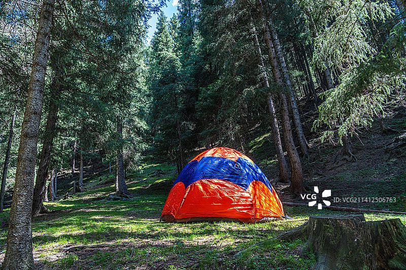 山谷 森林  户外帐篷营地图片素材