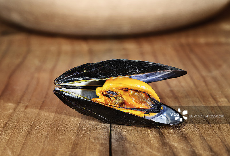 意大利罗马木桌上的贝壳特写图片素材