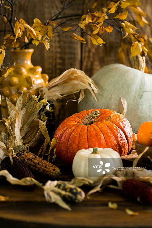 生南瓜与小南瓜图片素材