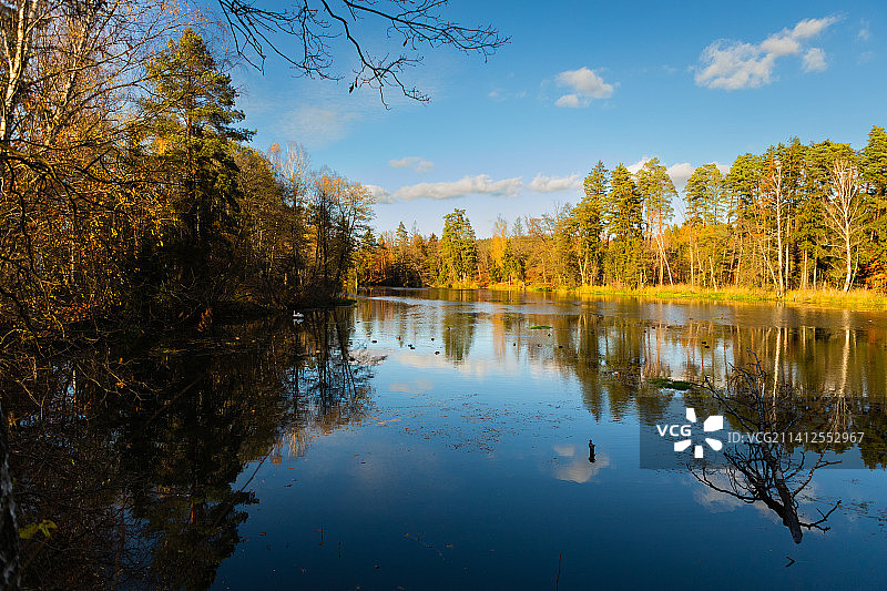 波兰奥尔什丁的森林湖景图片素材
