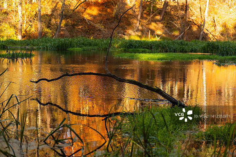 波兰奥尔什丁秋季森林湖泊美景图片素材