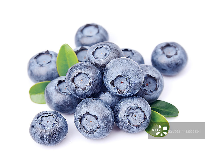摩尔多瓦，白色背景上的蓝莓特写图片素材