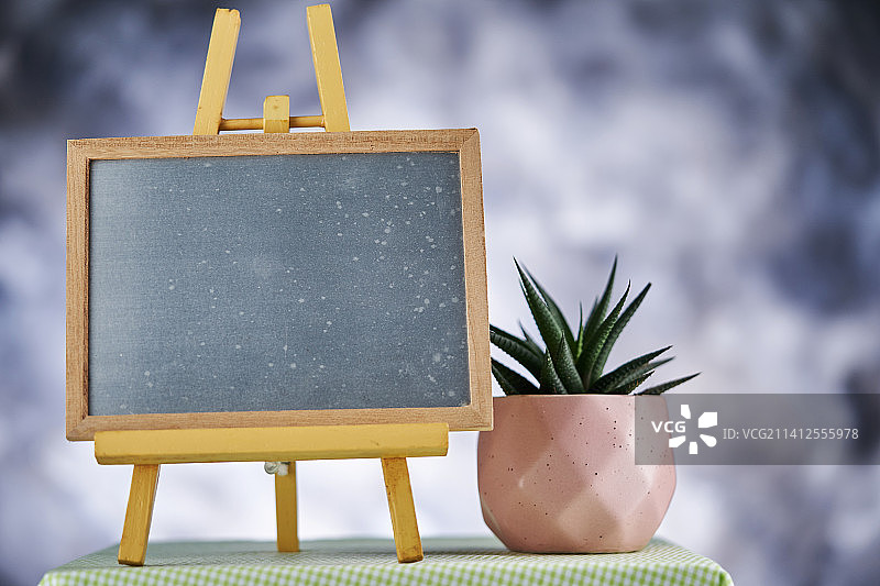 马来西亚：带木框黑板和桌上植物特写图片素材