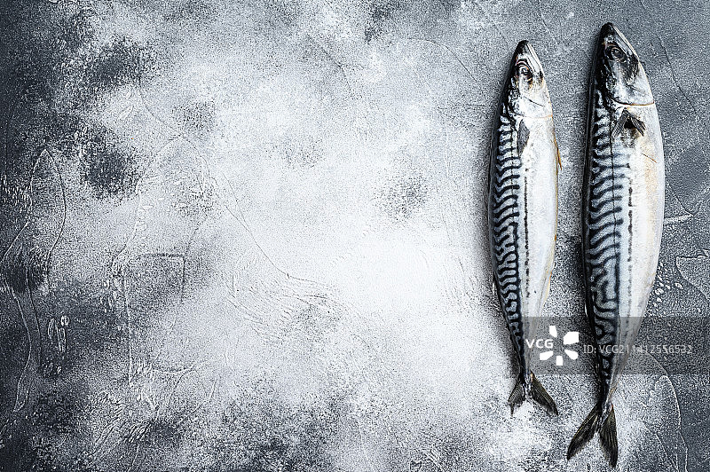 生鲭鱼，灰色背景，顶部视角，含文案空间图片素材