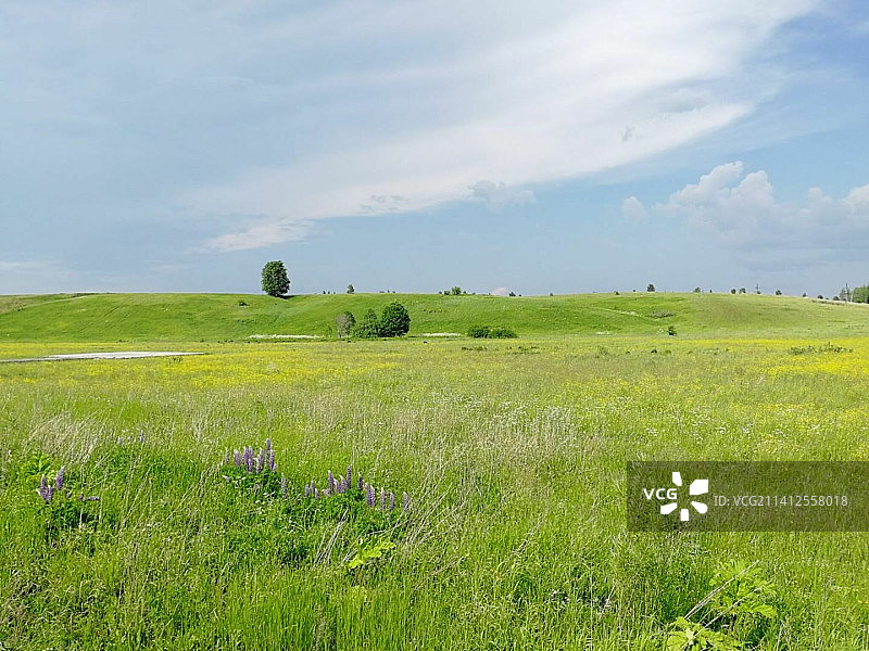 俄罗斯莫斯科州的田野风光图片素材