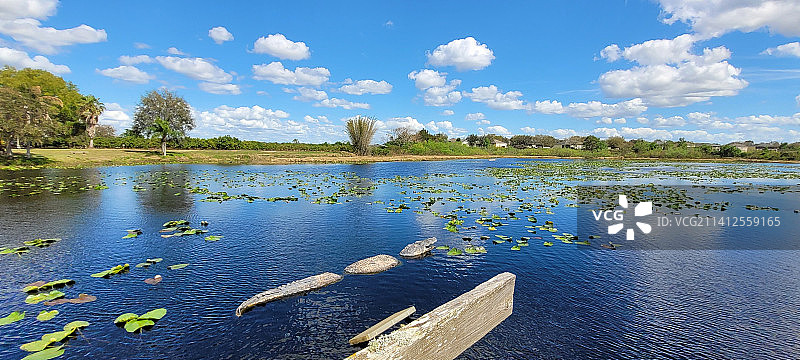 美国佛罗里达州湖泊风光图片素材