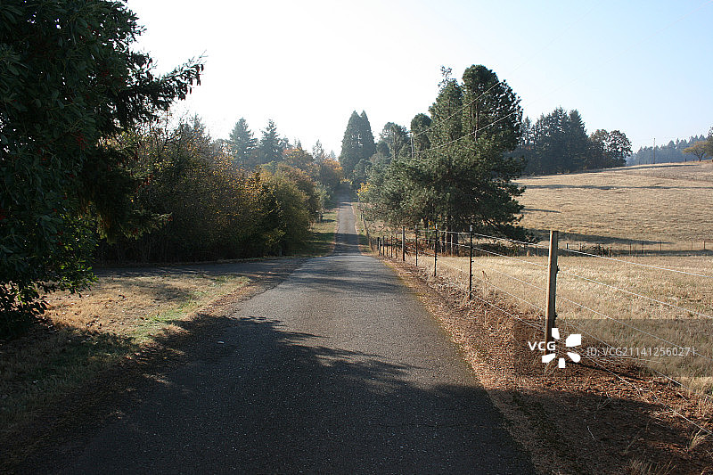 美国俄勒冈州尤金市的晴空下树木间的空旷道路图片素材