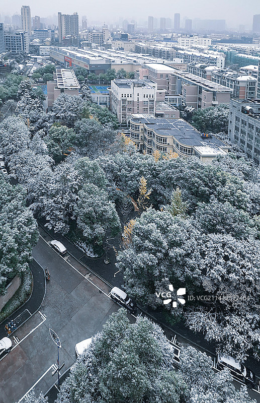 十二月第一天 杭州已是冬天的模样图片素材
