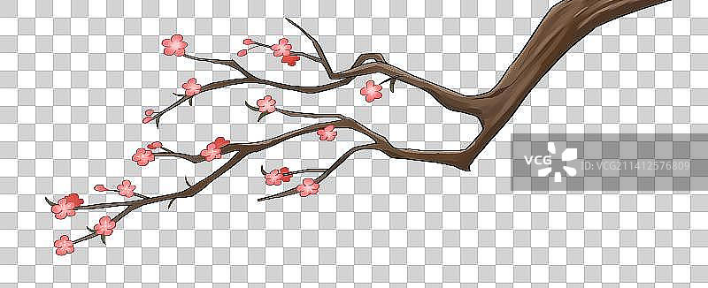 梅花枝图片素材