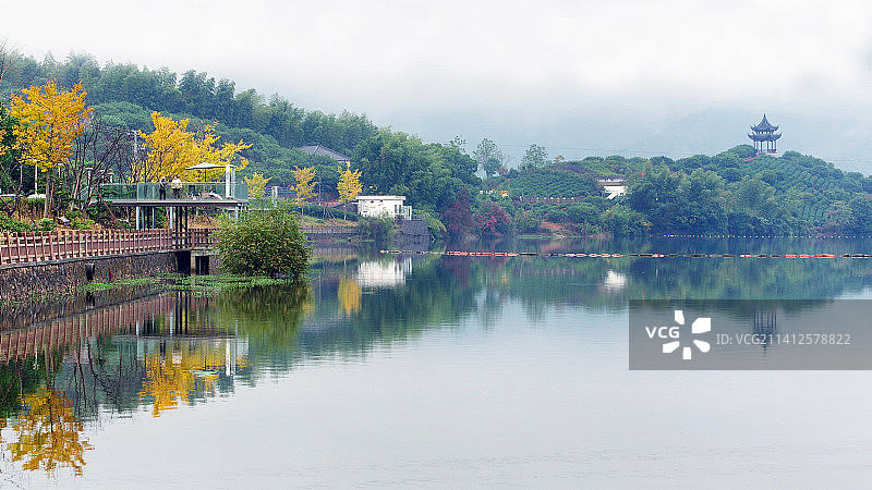 深秋时节的江南，烟雨蒙蒙的湖面倒影着银杏和亭子图片素材