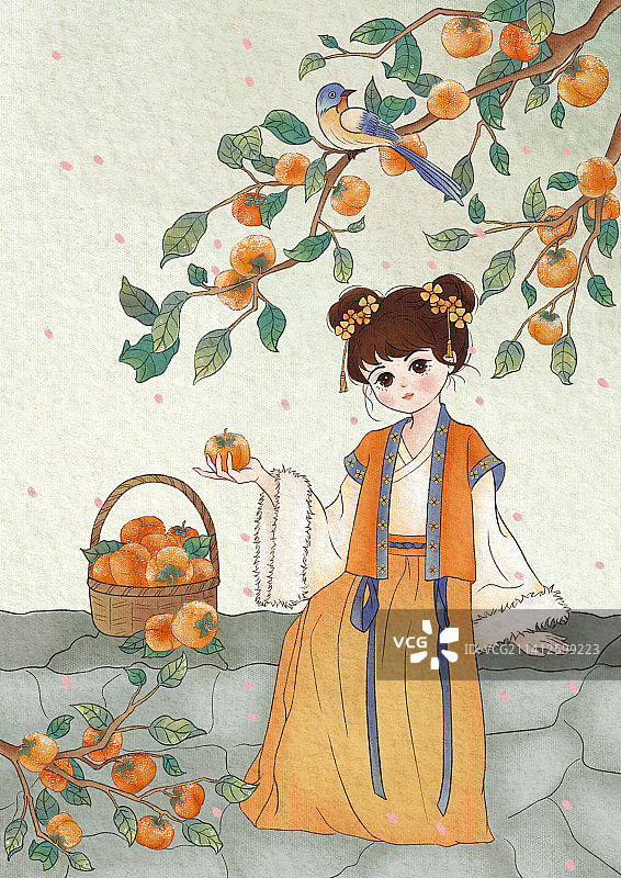 肌理插画-柿柿如意图片素材