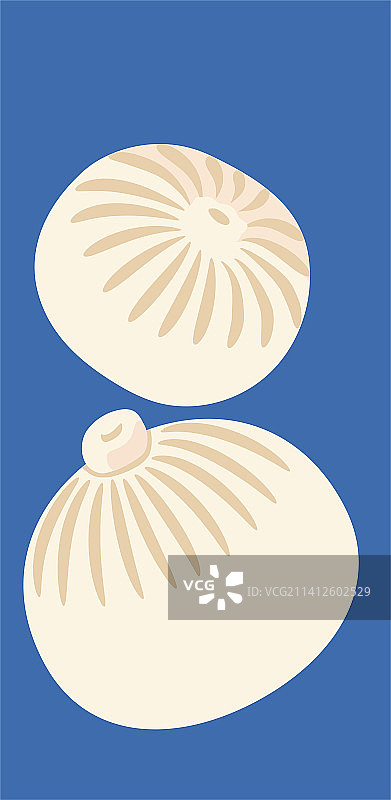 中式面点之包子图片素材