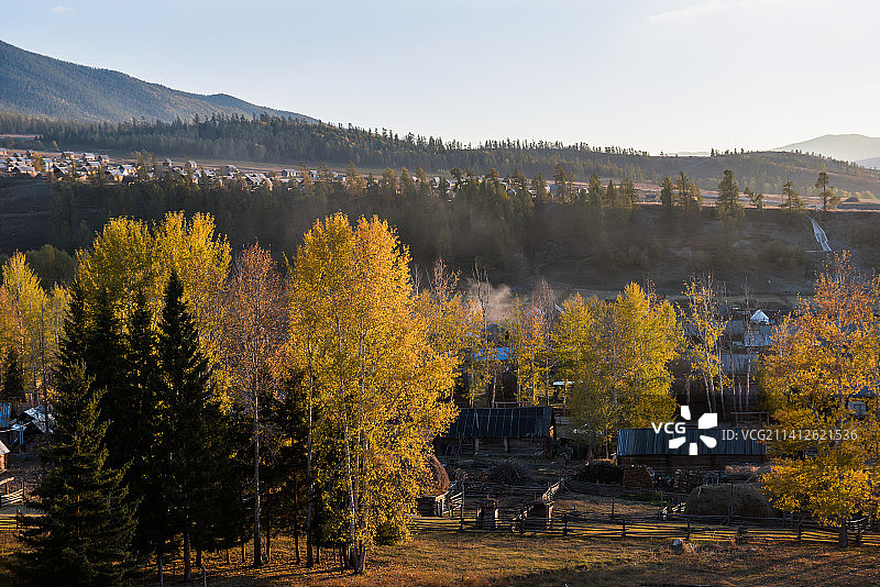 白哈巴村的秋天（新疆阿勒泰）图片素材