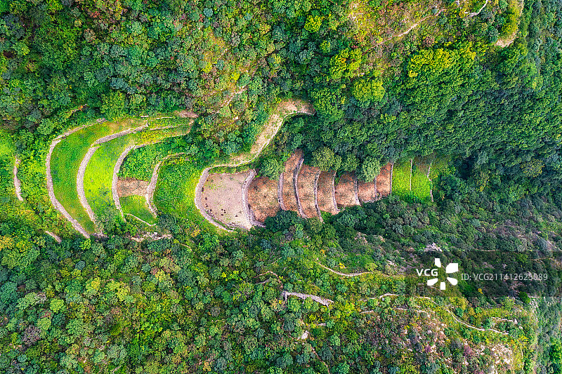 南太行山西省长治市平顺县太行山大峡谷（太行天路）梯田景观夏季户外航拍正上方视角图片素材