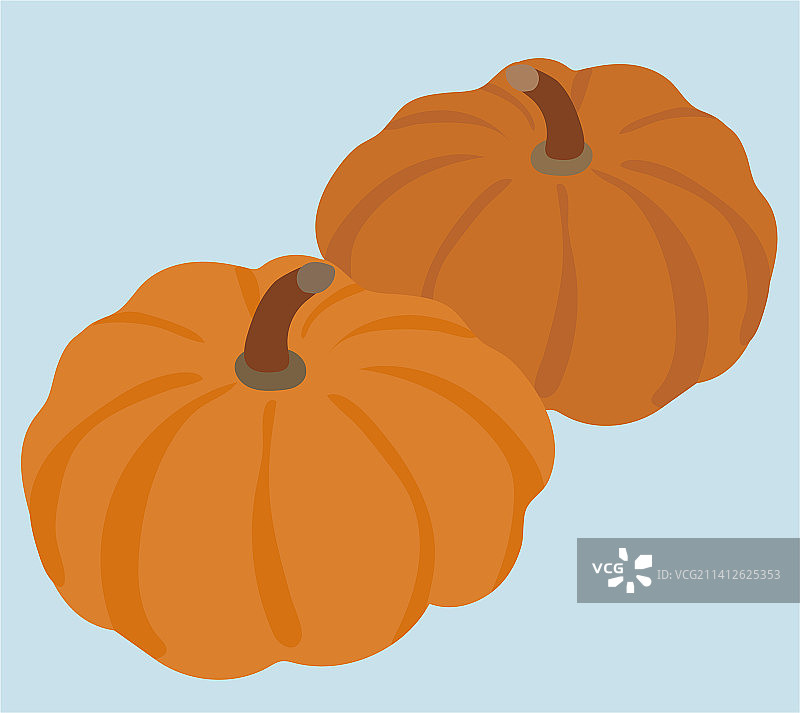 两个南瓜图片素材