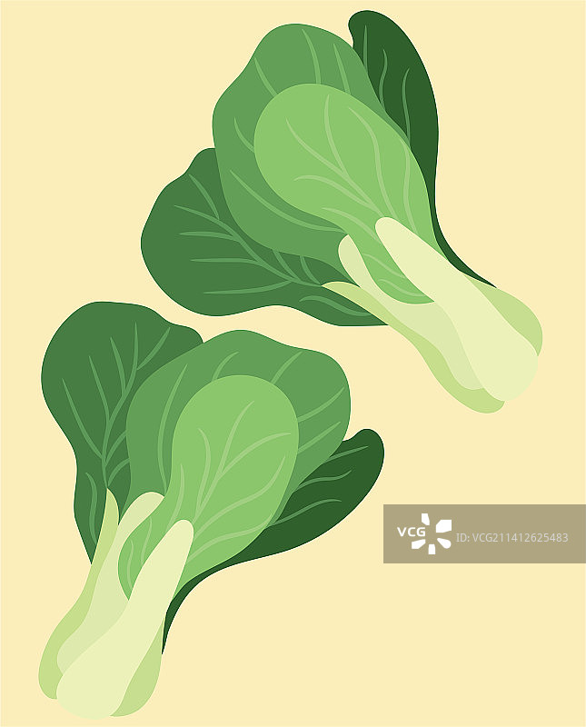 新鲜的青菜图片素材