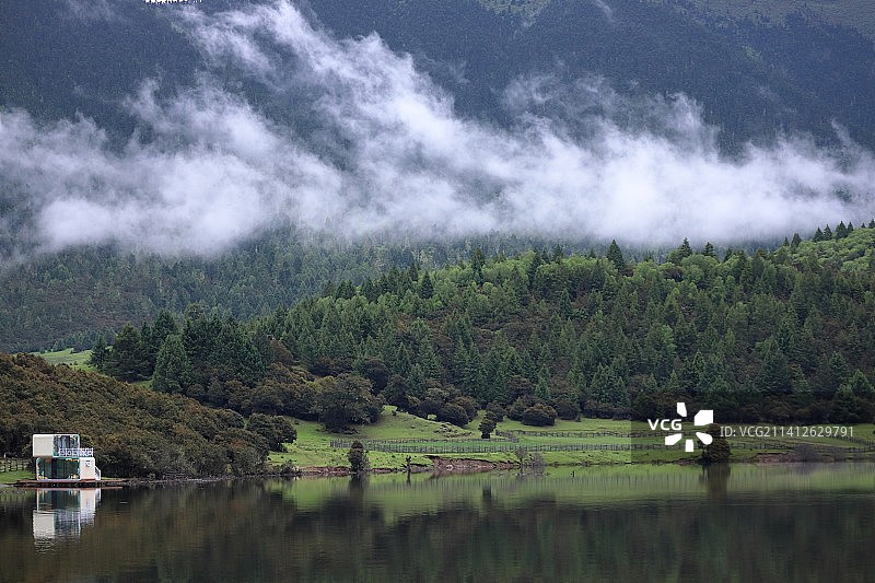 西藏 林芝 鲁朗图片素材