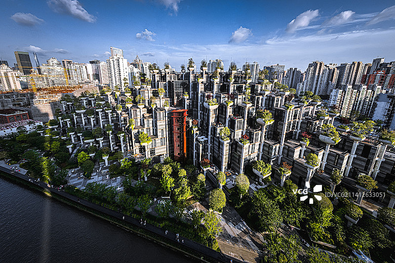 上海天安千树图片素材