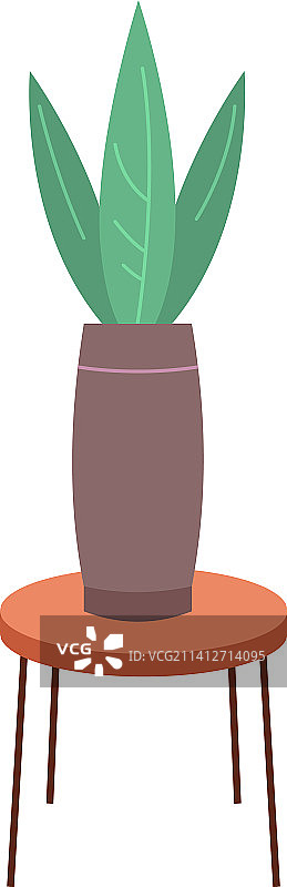 桌上家居内的绿色盆栽图片素材