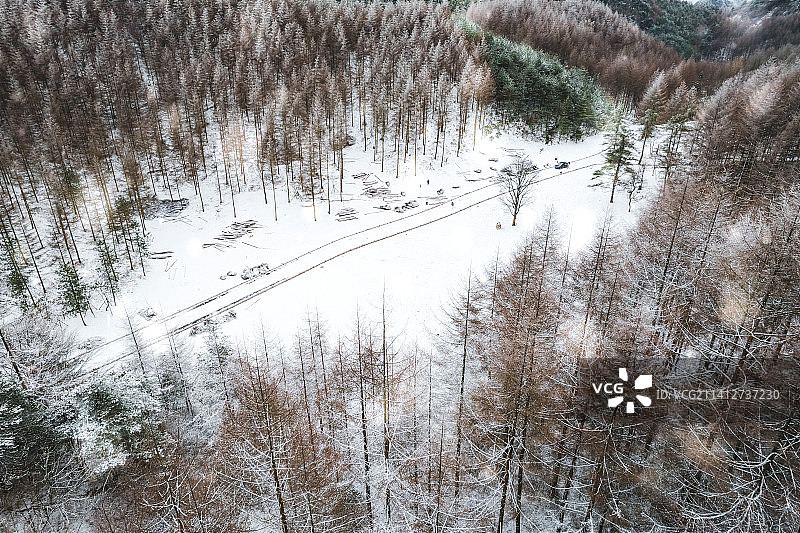曾家山森林公园2022年第一场冬雪图片素材