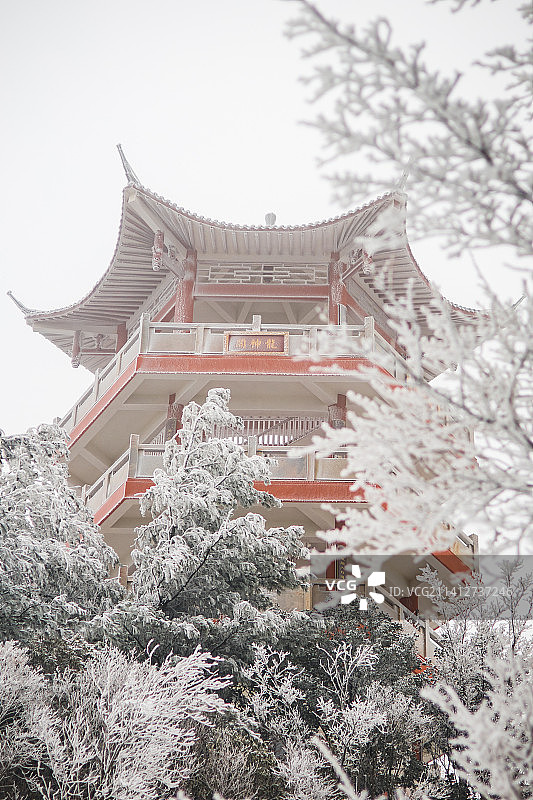 曾家山森林公园2022年第一场冬雪图片素材