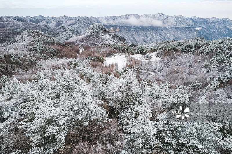 曾家山森林公园2022年第一场冬雪图片素材