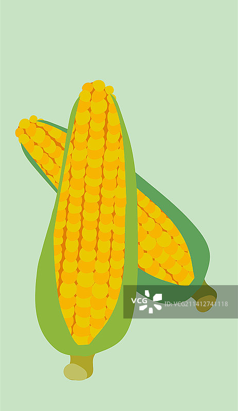 两根玉米图片素材