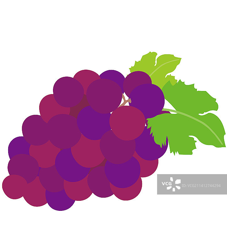 一串带叶子的紫色葡萄图片素材