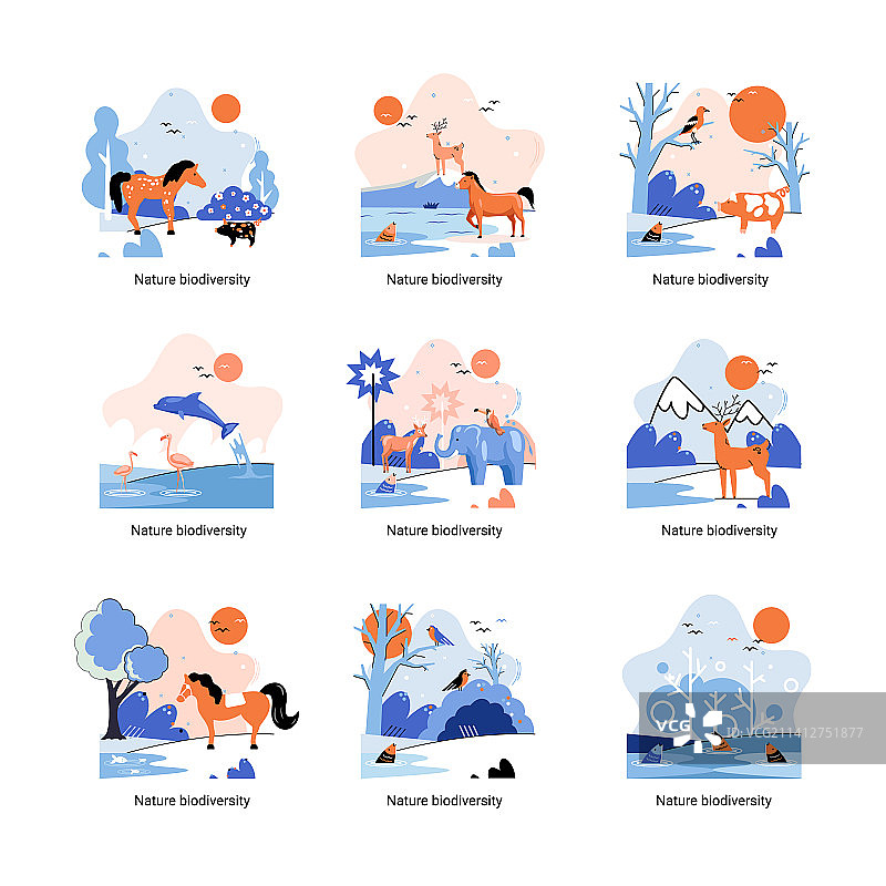 自然环境中的生物多样性图片素材