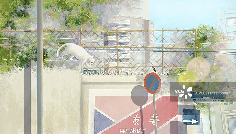 流浪猫的危机图片素材