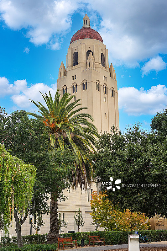 （Stanford）斯坦福大学校园胡佛塔图片素材