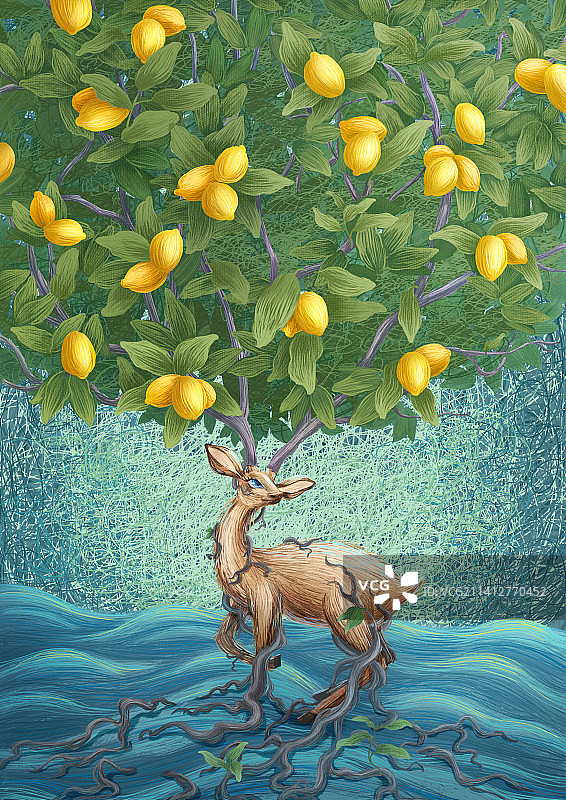 鹿角树图片素材