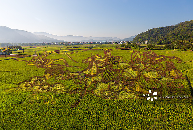 永嘉县岩头镇苍坡村的《西游记》彩色稻田图片素材