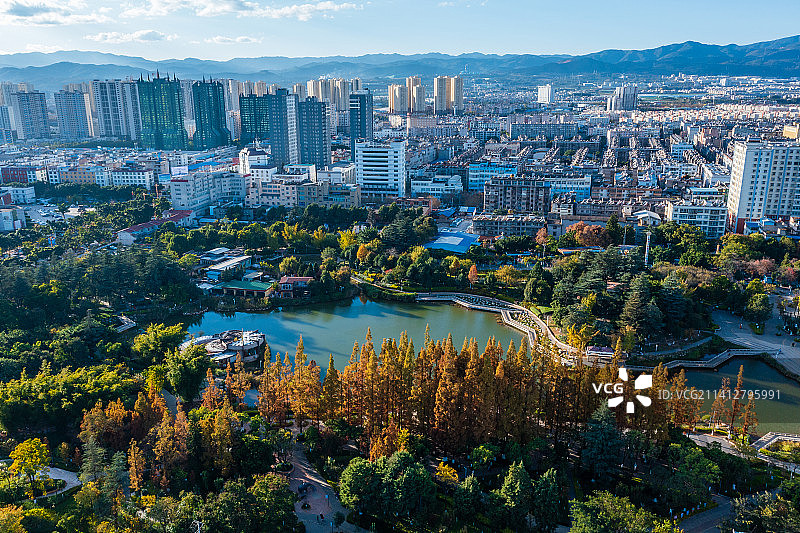 云南省玉溪市红塔区聂耳公园水杉图片素材