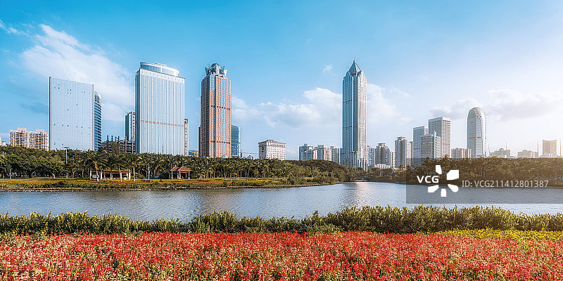 中国海南海口万绿园的花丛和国贸CBD建筑群风光图片素材