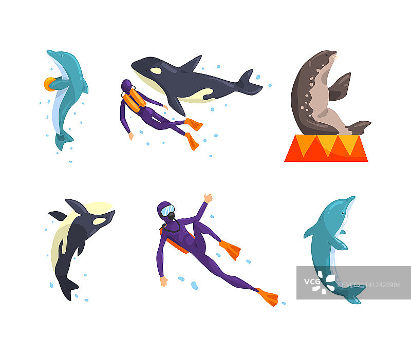 海洋馆或海豚馆与海洋动物图片素材