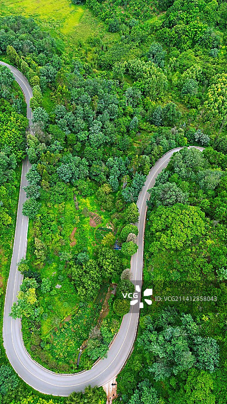 林间公路的高角度视野图片素材