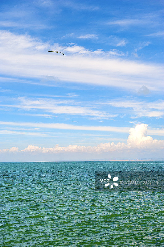 美丽的青海湖，蓝天碧水，一望无际，岸边是连绵草场图片素材
