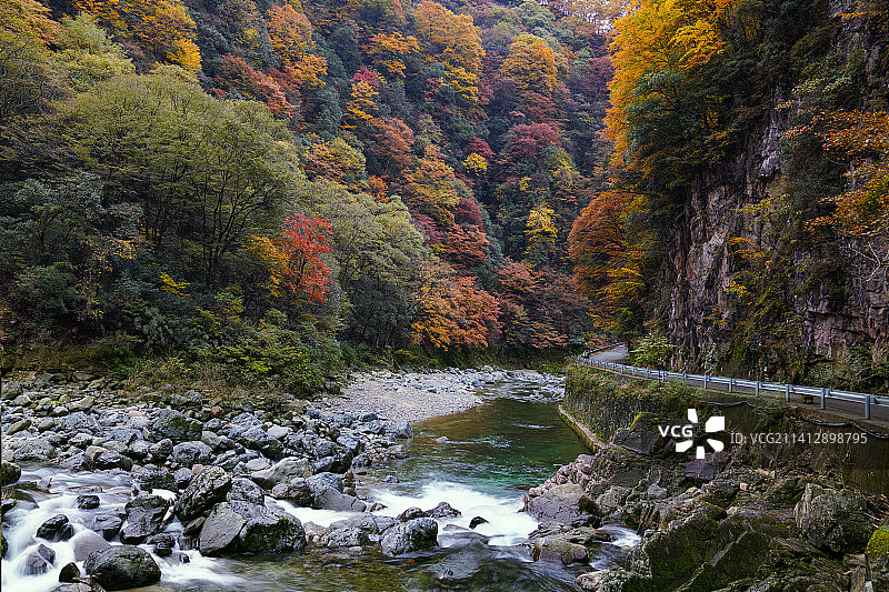 公路拐角遇到秋天图片素材