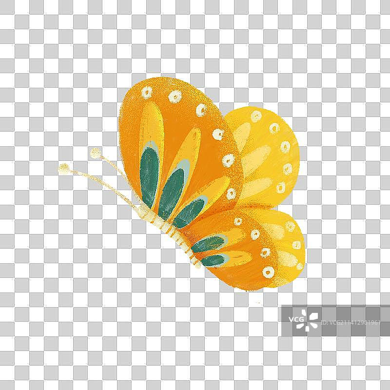 蝴蝶元素2图片素材