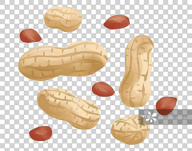 花生插画元素图片素材