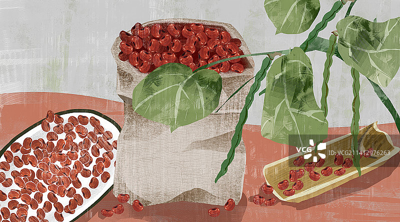 红豆食物插画图片素材