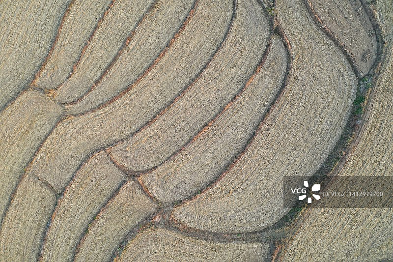 航拍几何图形的农田图片素材