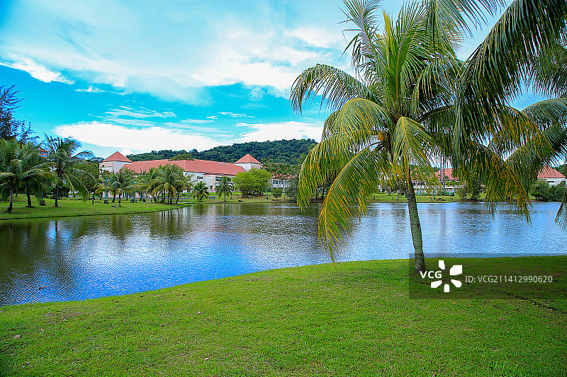 马来西亚沙巴大学清真建筑和椰子树图片素材